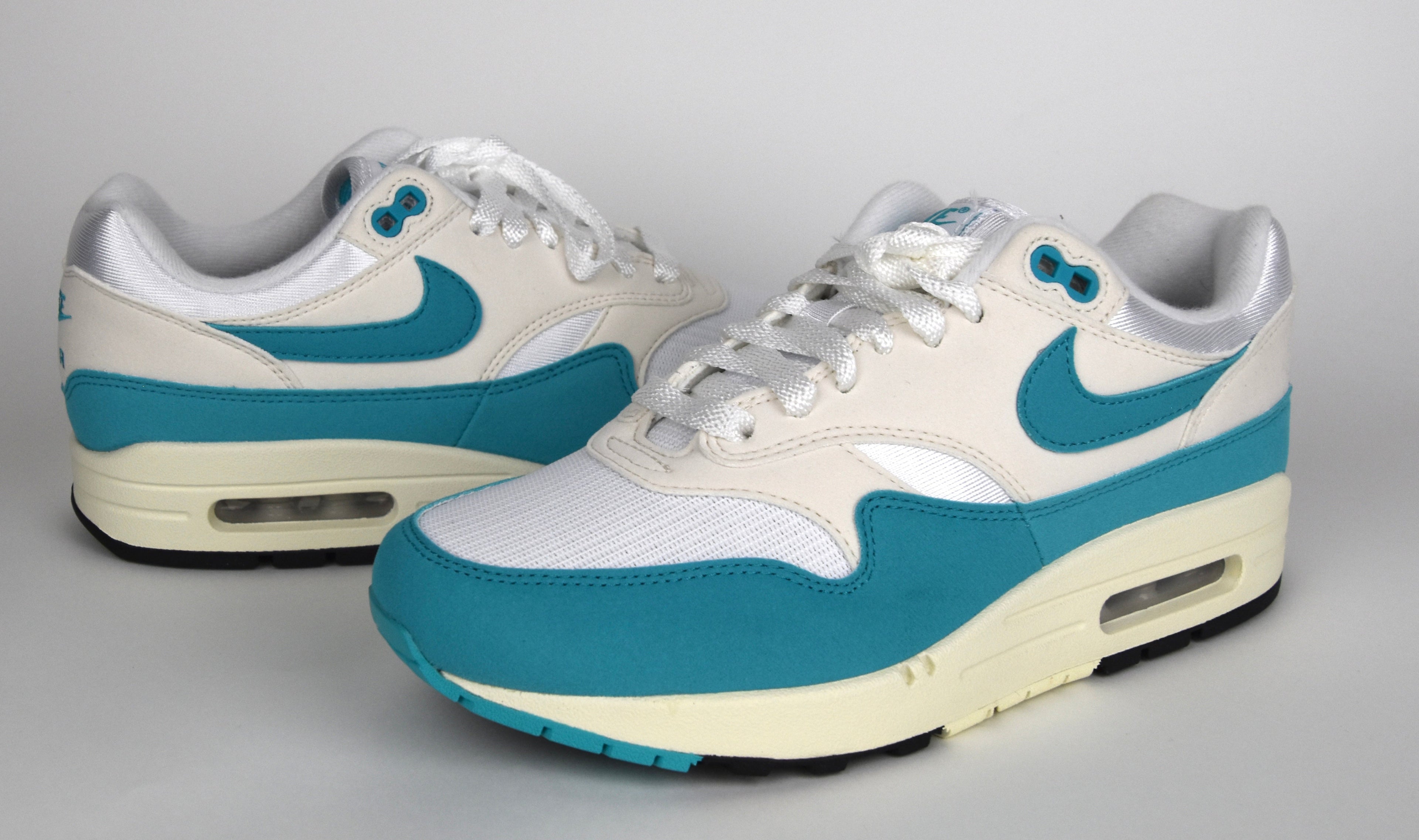 Nike Air Max 1  - Dusty Cactus