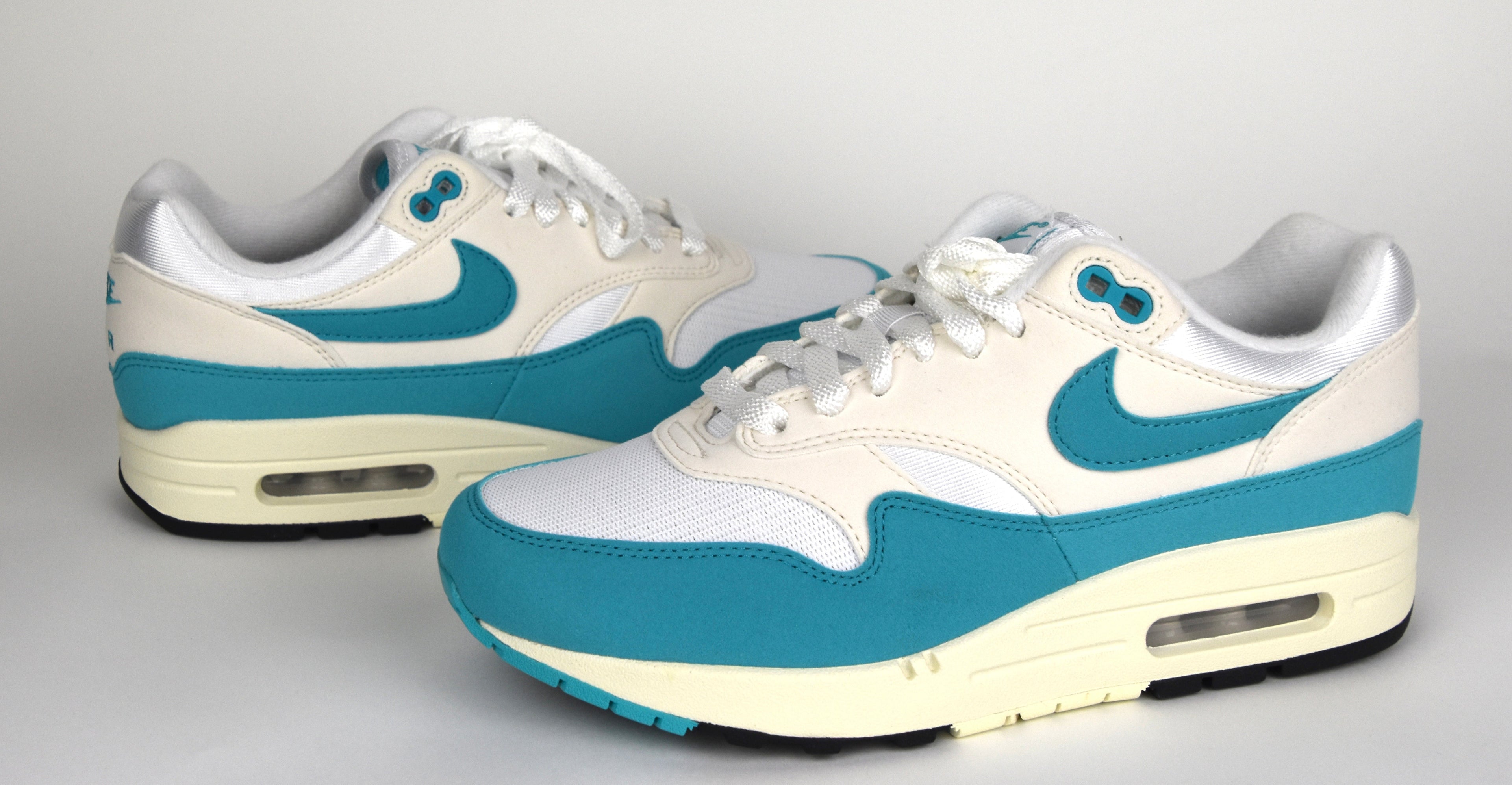 Nike Air Max 1  - Dusty Cactus