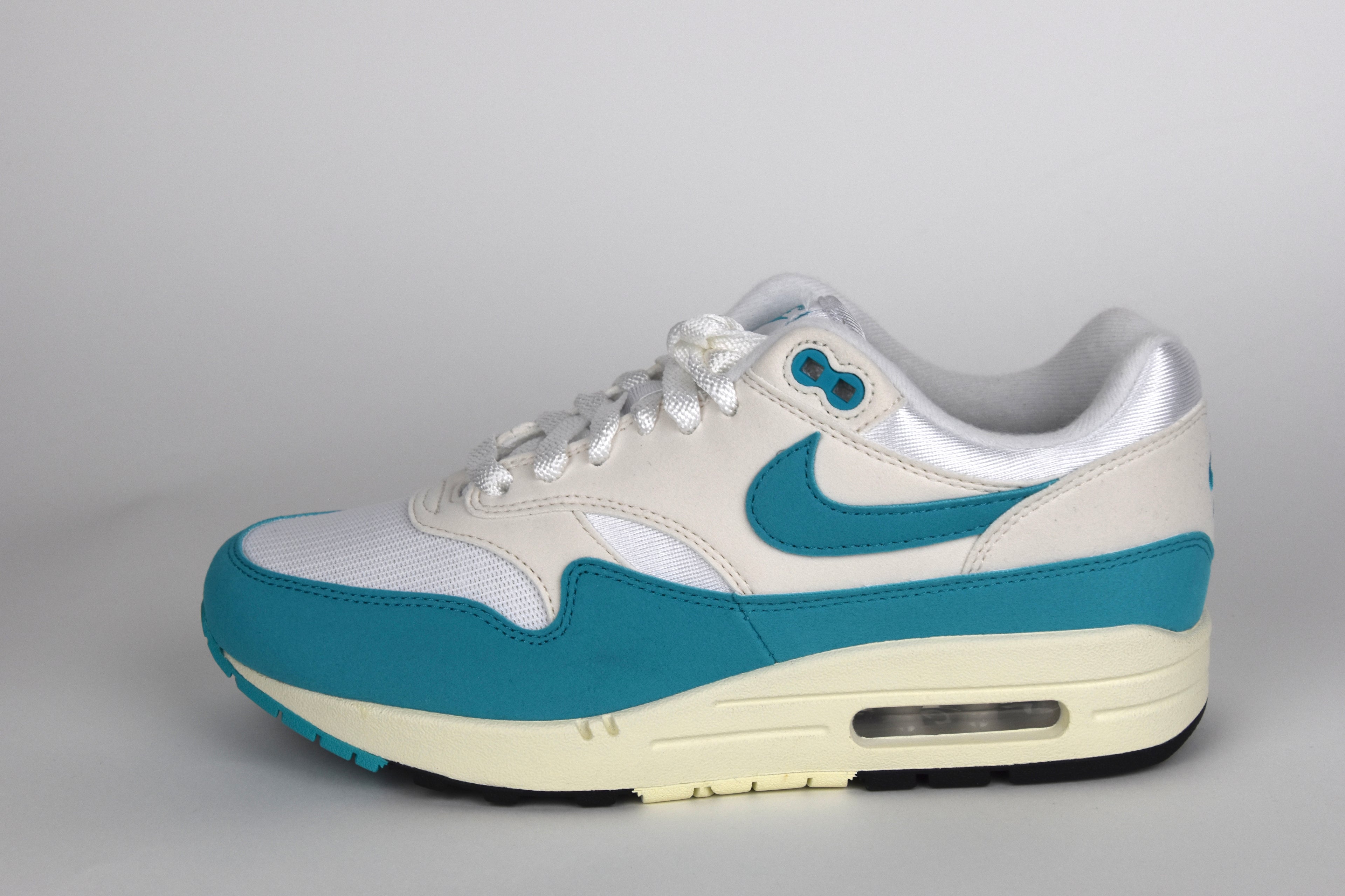 Nike Air Max 1  - Dusty Cactus