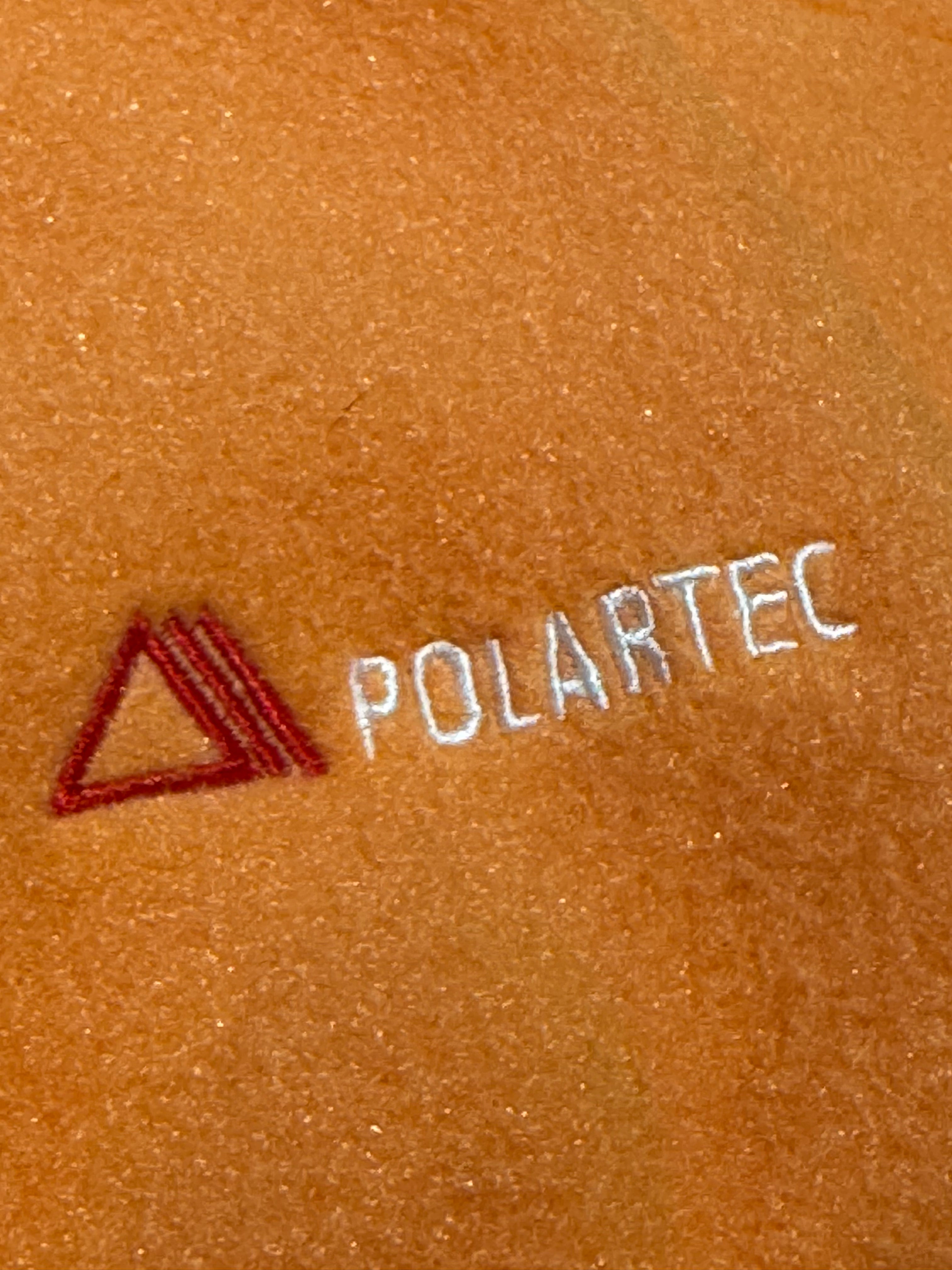 PALACE Polartec Ninja Tiger Hoodie