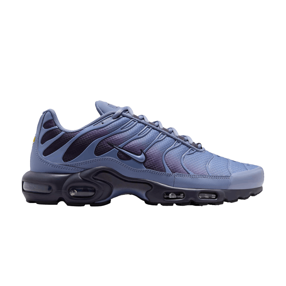 Nike Air Max Plus World Indigo