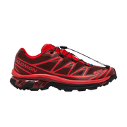 Salomon XT-6 Rum Raisin