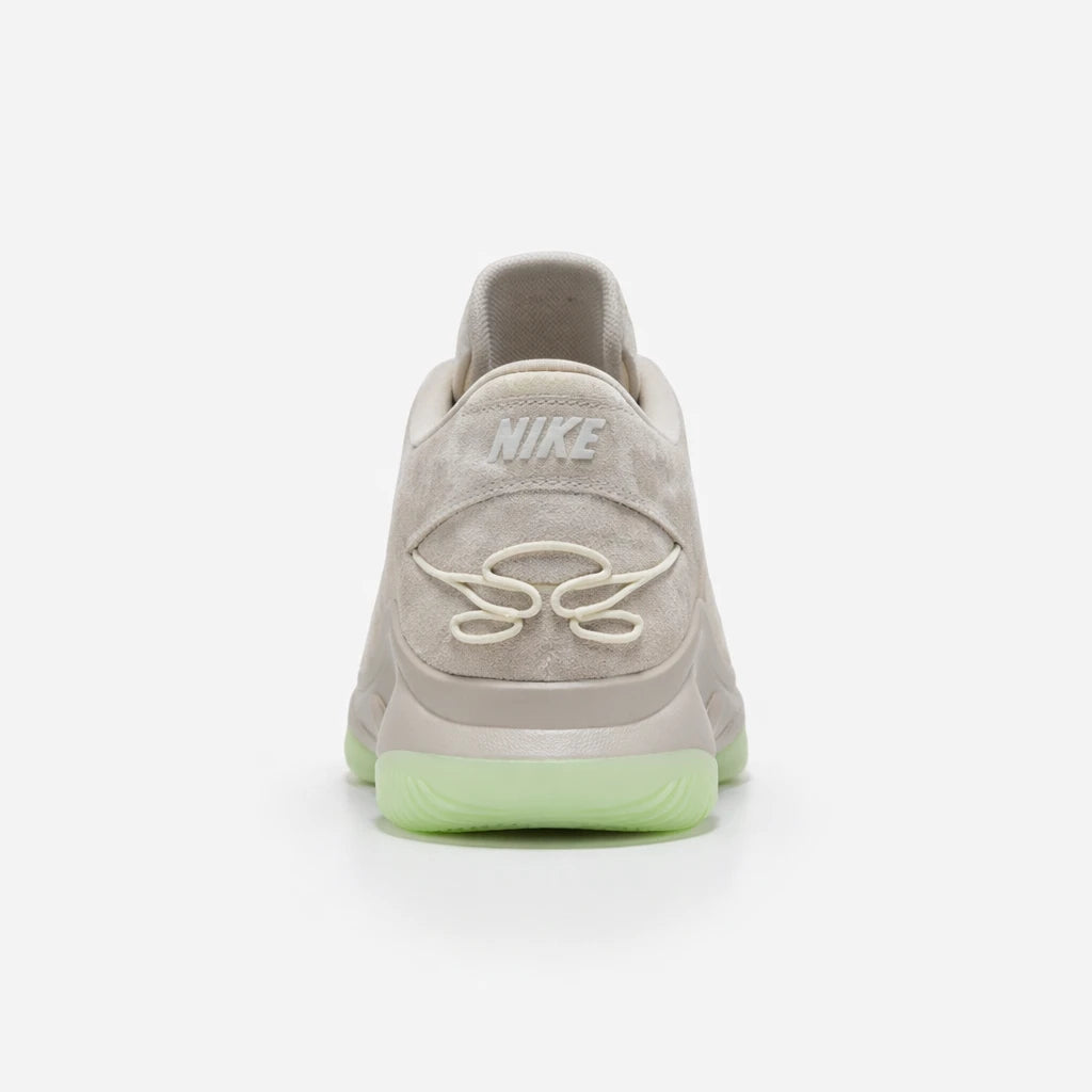 Nike LeBron 22 Dunkman (Translucent Outsole)
