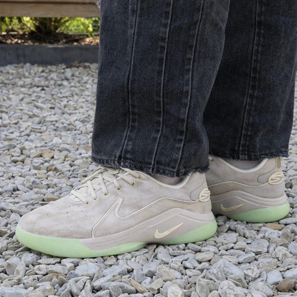 Nike LeBron 22 Dunkman (Translucent Outsole)
